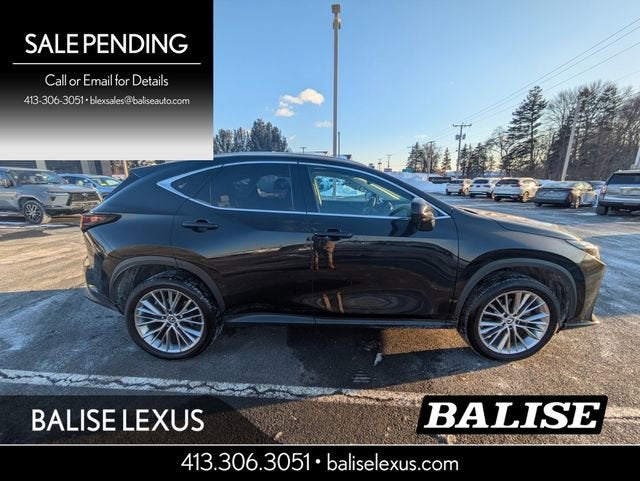 2024 Lexus NX 350 Luxury