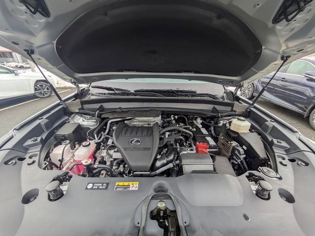 2024 Lexus TX 350 Premium