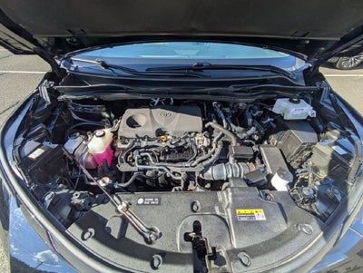 2023 Toyota Sienna LE