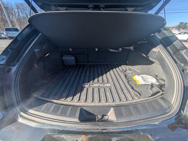 2023 Lexus UX 250h Premium