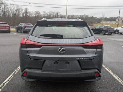 2024 Lexus UX 250h Premium