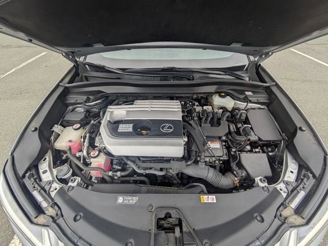 2019 Lexus UX 250h F SPORT