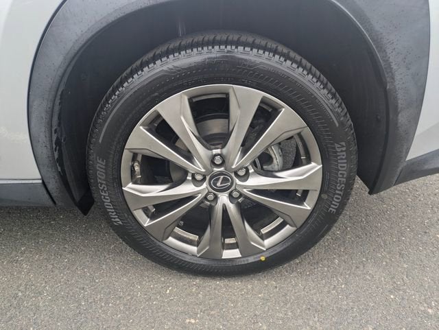 2019 Lexus UX 250h F SPORT