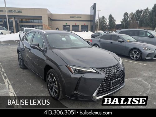 2025 Lexus UX 300h Premium