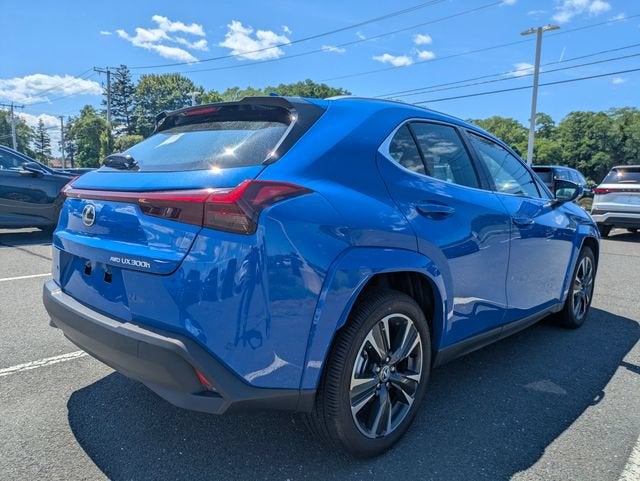 2025 Lexus UX 300h Premium