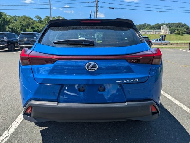 2025 Lexus UX 300h Premium