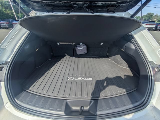 2025 Lexus UX 300h Premium
