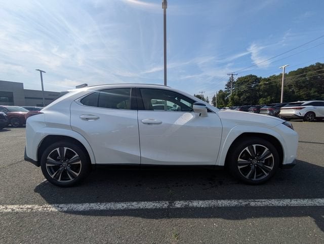 2025 Lexus UX 300h Premium