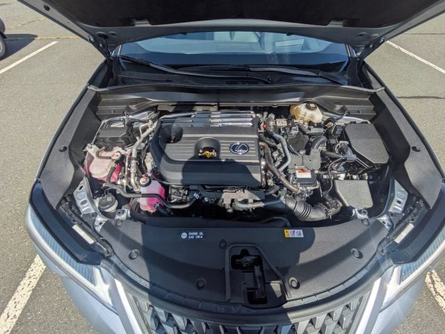 2025 Lexus UX 300h Premium