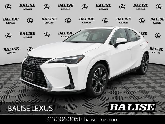 2025 Lexus UX 300h Premium