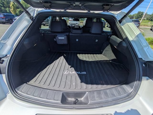 2025 Lexus UX 300h Premium