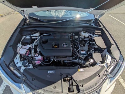 2025 Lexus UX 300h Premium
