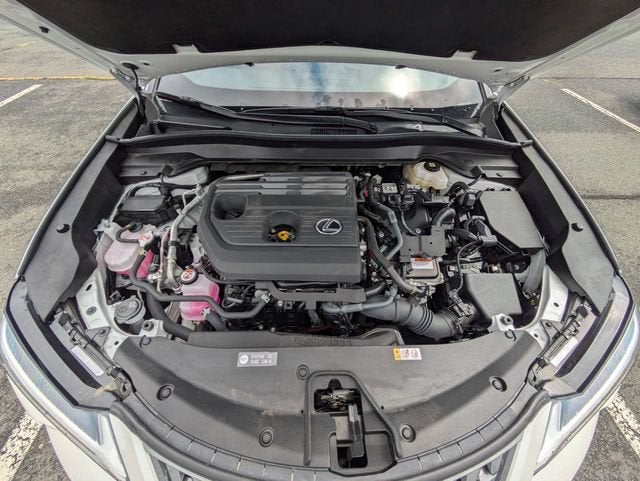 2025 Lexus UX 300h Premium