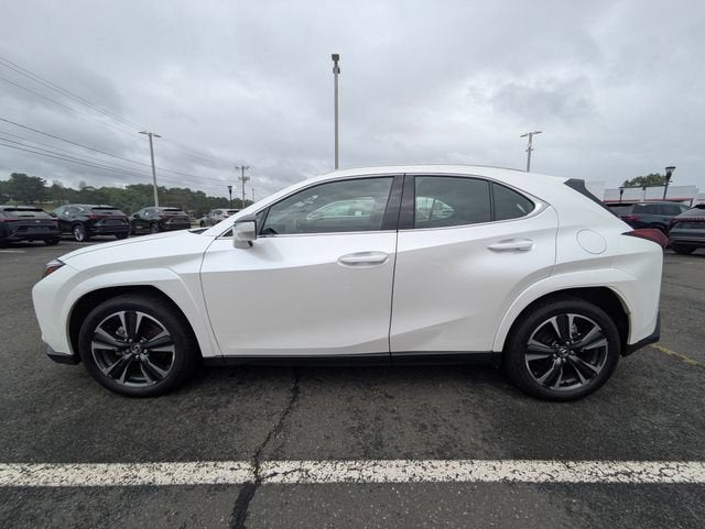 2025 Lexus UX 300h Premium