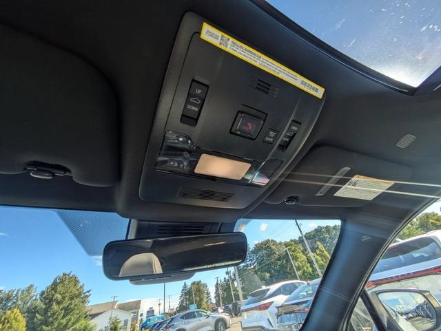 2025 Lexus UX 300h Premium