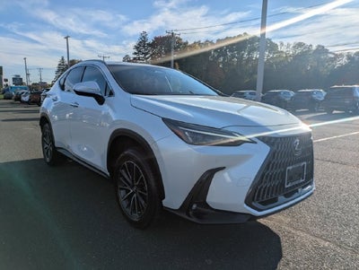 2024 Lexus NX 350 Premium