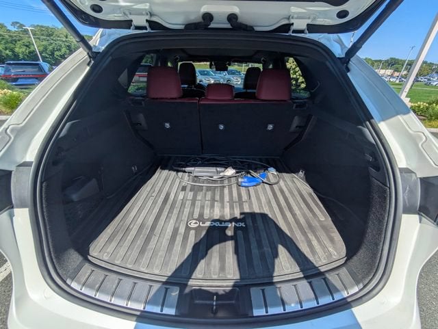 2025 Lexus NX 450h+ Luxury