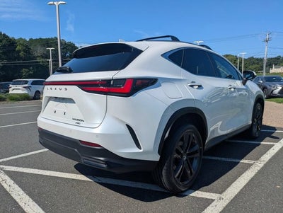 2025 Lexus NX 450h+ Luxury