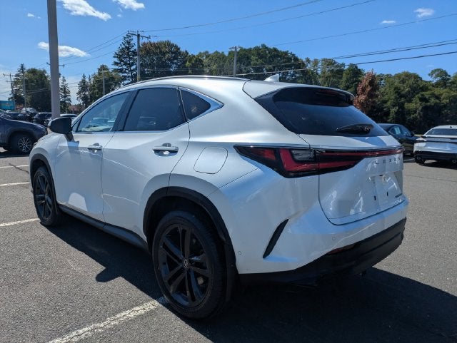 2024 Lexus NX 450h+ Luxury