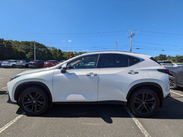 2024 Lexus NX 450h+ Luxury