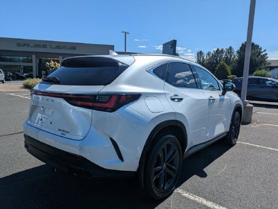 2024 Lexus NX 450h+ Luxury